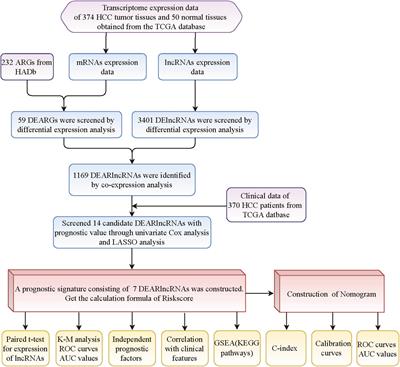 Prognosis-Predictive Signature and Nomogram Based on Autophagy-Related Long Non-coding RNAs for Hepatocellular Carcinoma